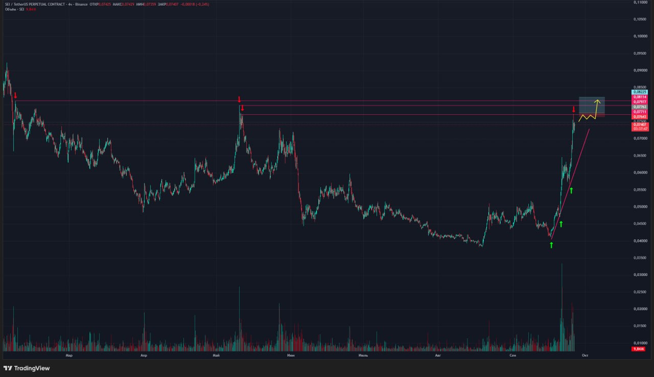 اسکرین‌شات سیگنال SEIUSDT LONG از Trader signals RU