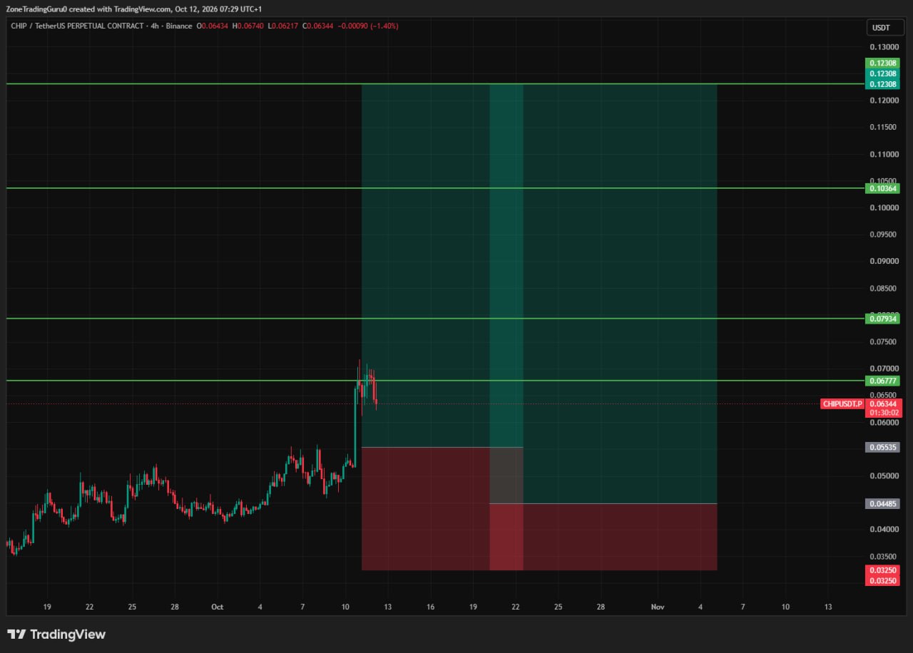 CHIPUSDT LONG signal screenshot by Evening Trader Group