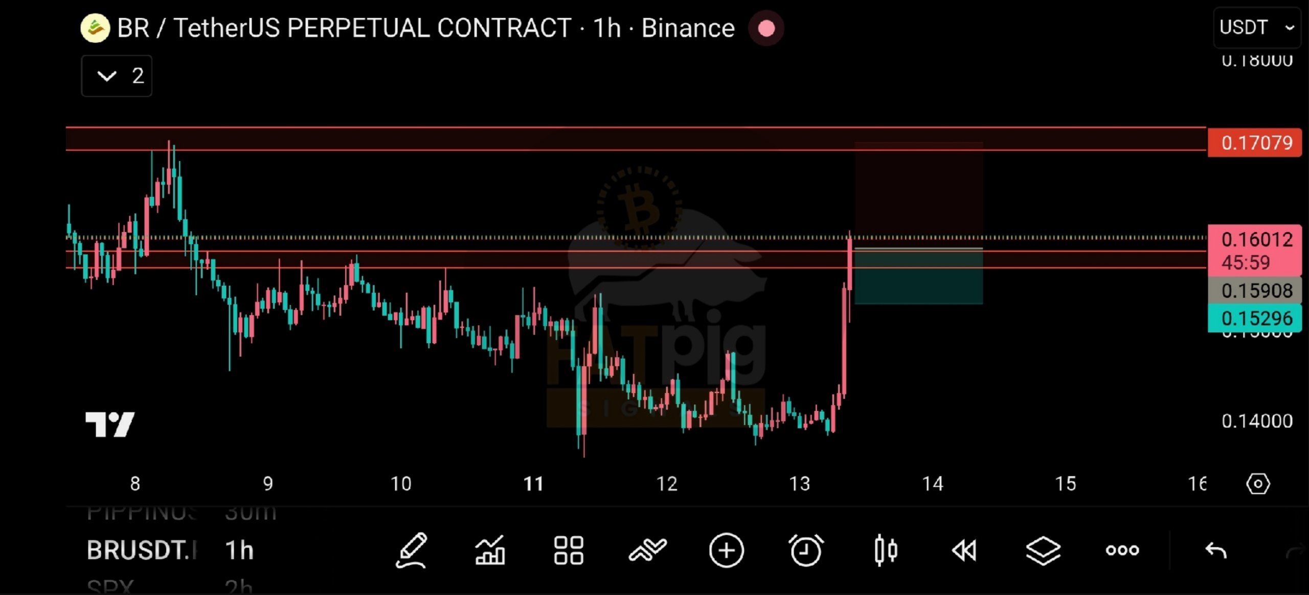 BRUSDT LONG signal screenshot by Fat Pig Signals OFFICIAL