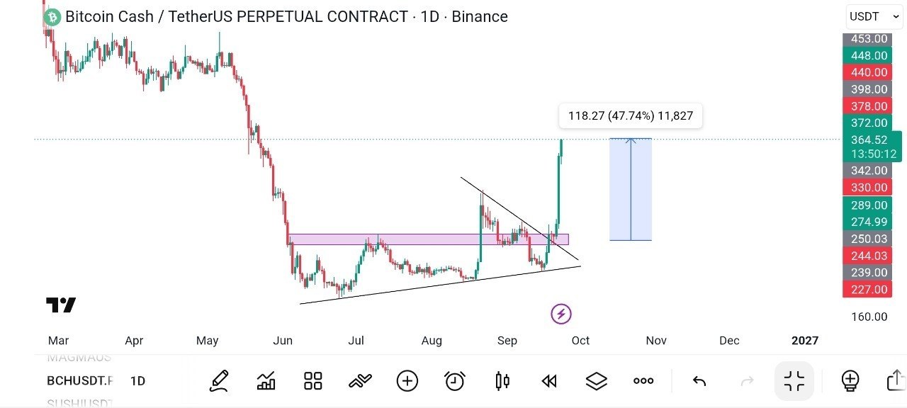 اسکرین‌شات سیگنال BCHUSDT LONG از Fat Pig Signals1