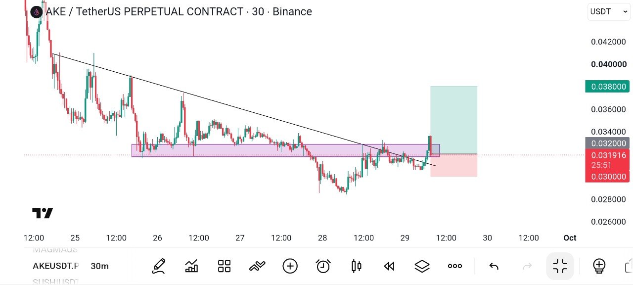 اسکرین‌شات سیگنال AKEUSDT LONG از Global Crypto Research