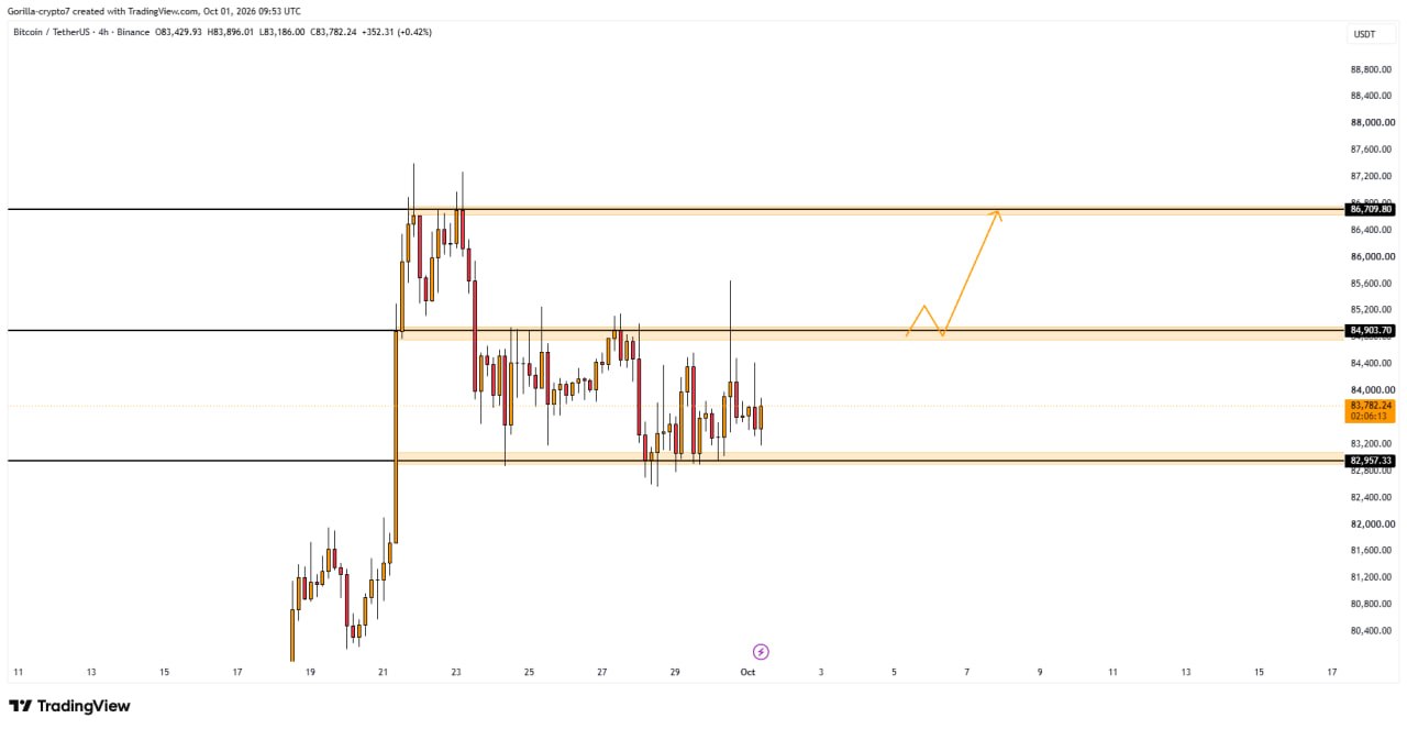 BTCUSDT LONG signal screenshot by Gorilla Crypto