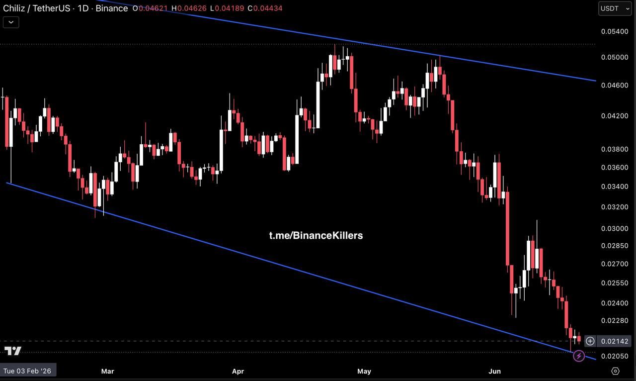 اسکرین‌شات سیگنال CHZUSDT LONG از Binance Killers