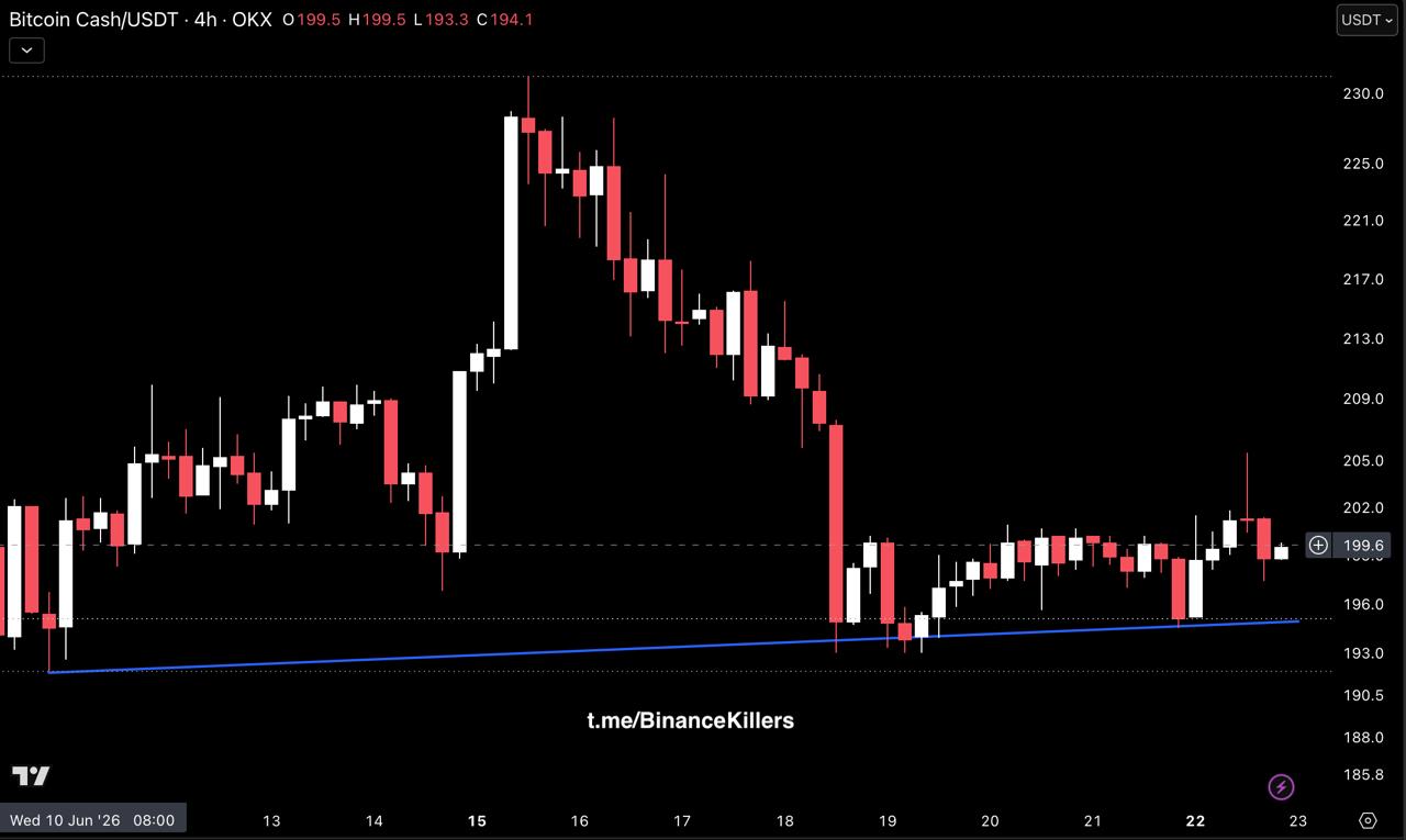 اسکرین‌شات سیگنال BCHUSDT LONG از Binance Killers