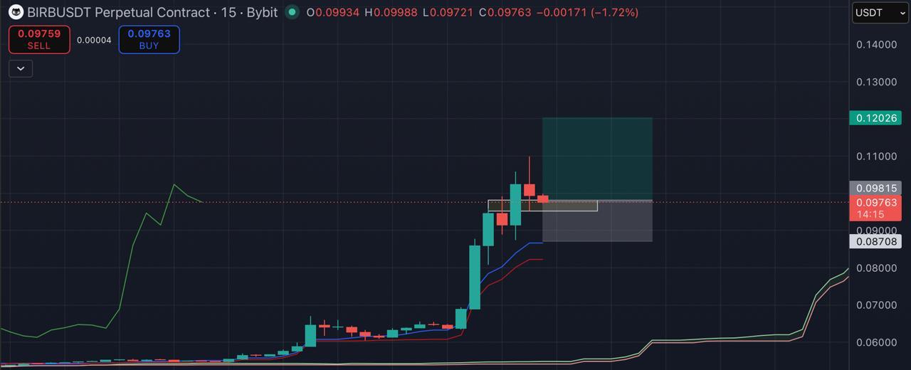Скриншот сигнала BIRDUSDT LONG от Blockchain Usa Official ( Binance ) 🐋