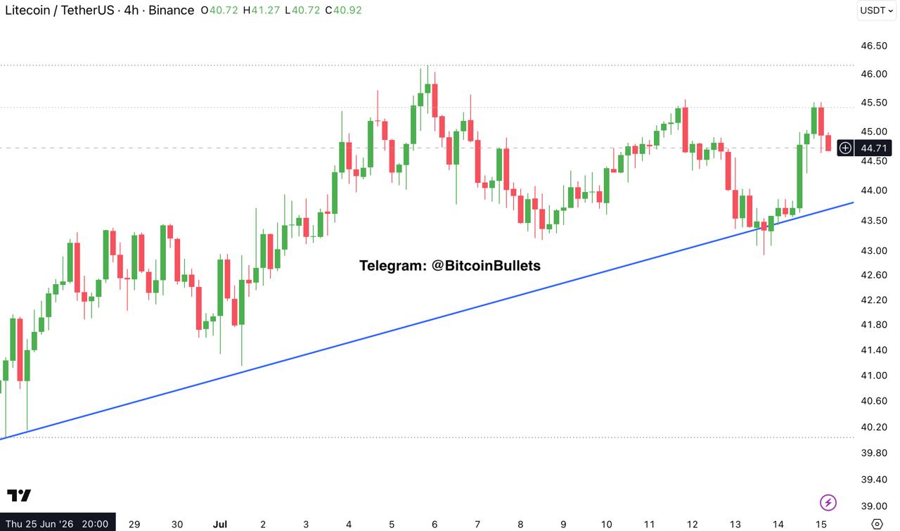 LTCUSDT — chart from the original post by Bitcoin Bullets®