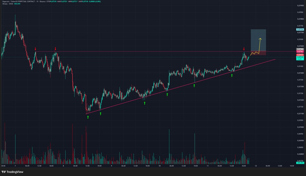 Скриншот сигнала DOGEUSDT LONG от Trader signals RU