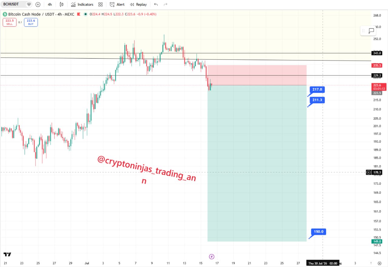 اسکرین‌شات سیگنال BCHUSDT SHORT از Crypto Ninjas Trading 🥷🏿