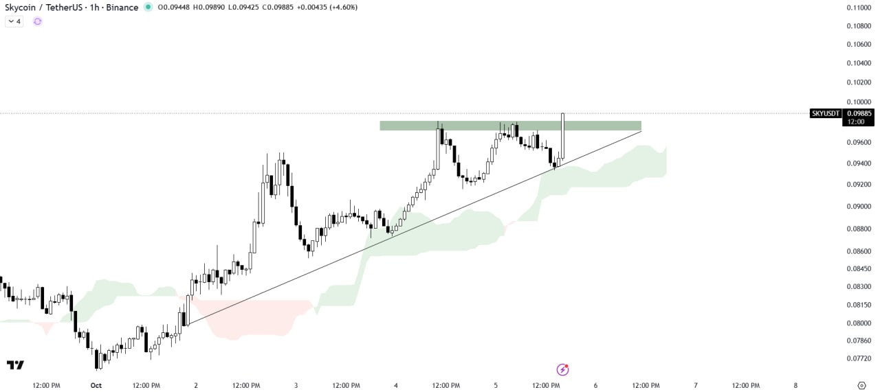 اسکرین‌شات سیگنال SKYUSDT LONG از The Crypto Express