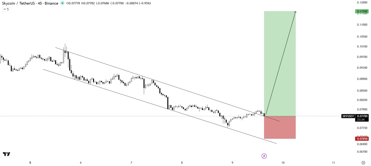SKYUSDT LONG signal screenshot by The Crypto Express