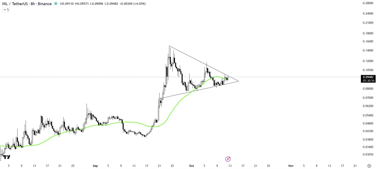 NILUSDT LONG signal screenshot by The Crypto Express