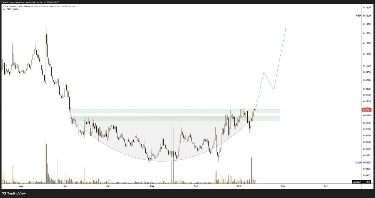 RONINUSDT LONG signal screenshot by The Bull