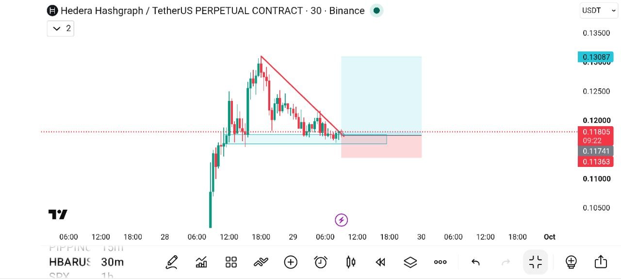 Скриншот сигнала HBARUSDT LONG от THE WOLF (CRYPTO)®