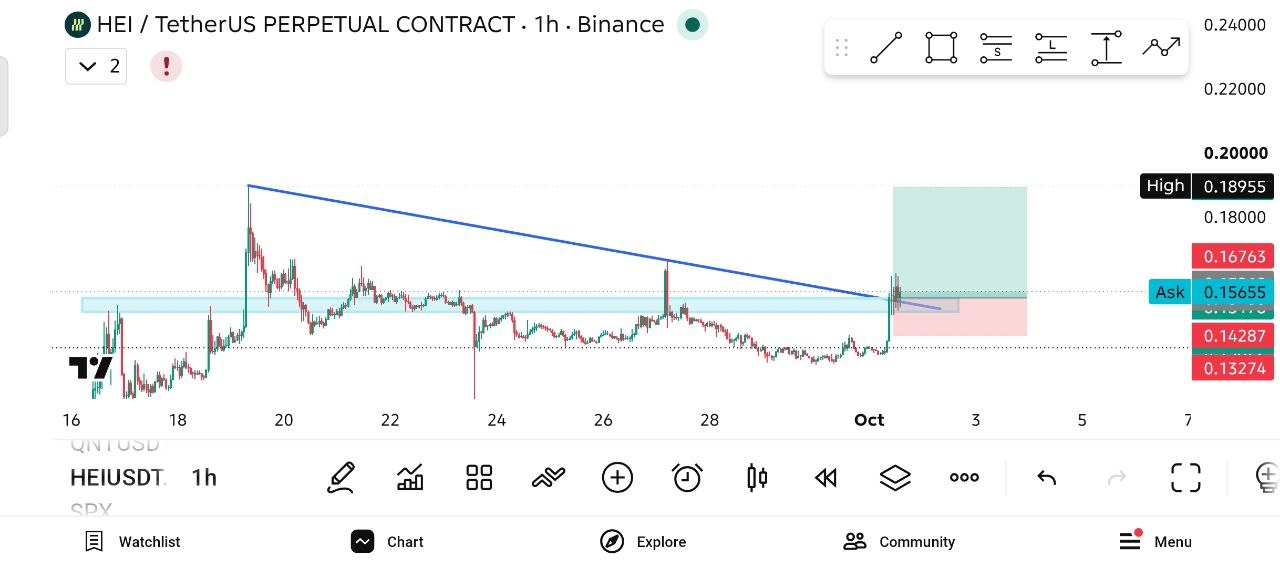 اسکرین‌شات سیگنال HEIUSDT LONG از THE WOLF (CRYPTO)®