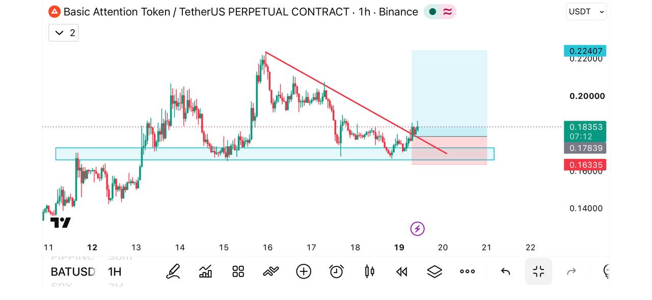 BATUSDT LONG signal screenshot by THE WOLF (CRYPTO)®