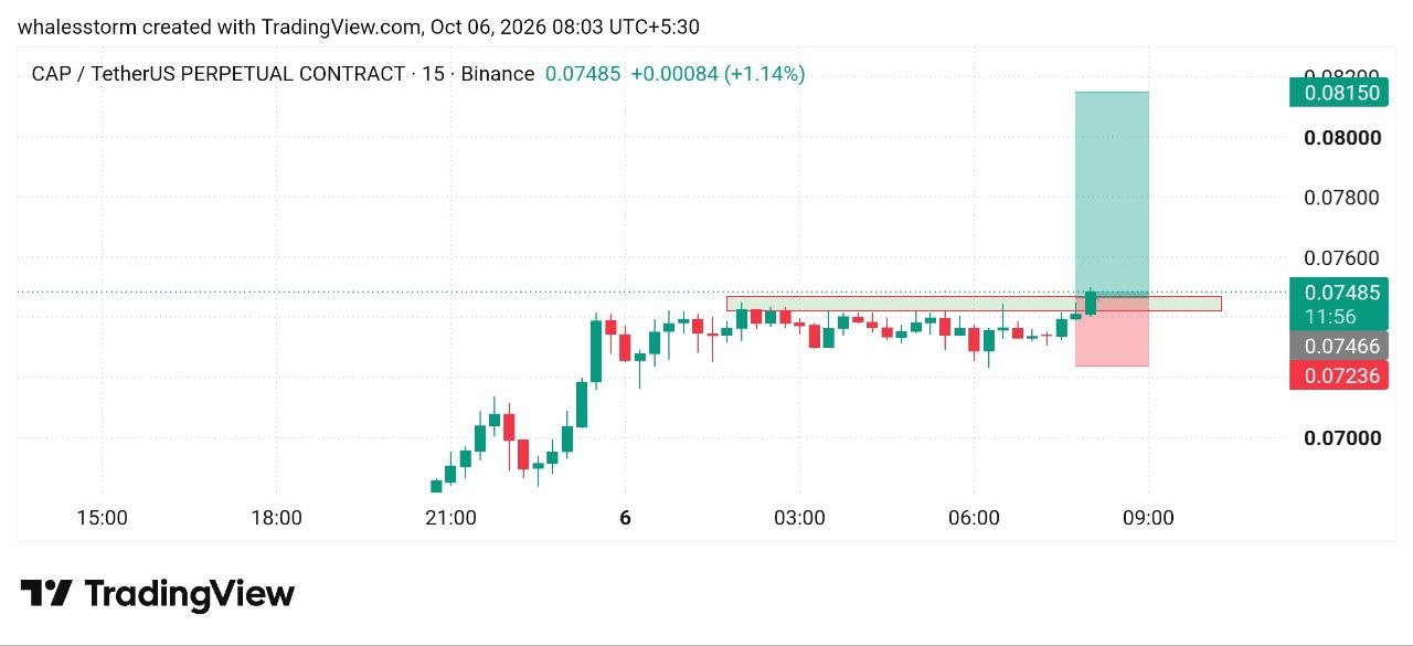 Скриншот сигнала CAPUSDT LONG от WHALES STORM