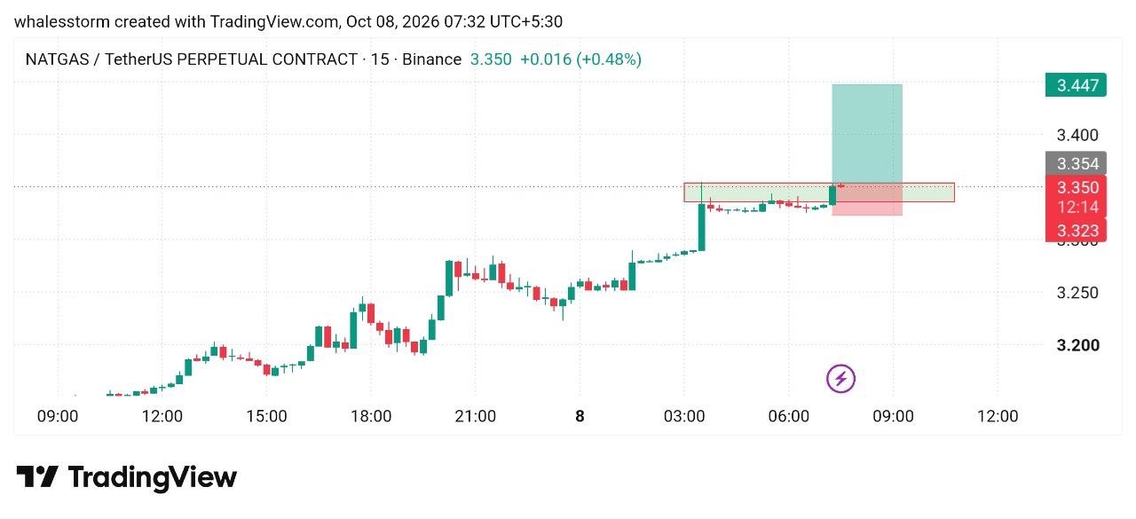 NATGASUSDT LONG signal screenshot by WHALES STORM