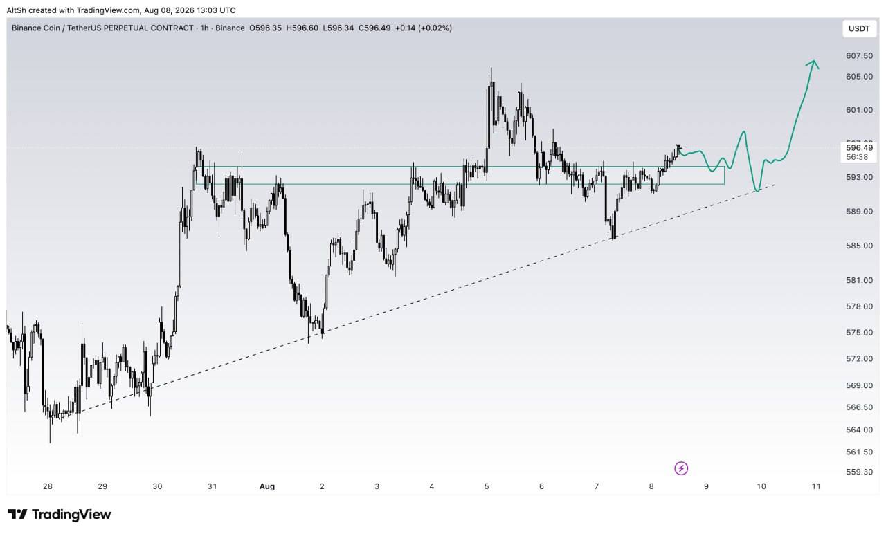 Скриншот сигнала BNBUSDT LONG от Wolf of Trading®