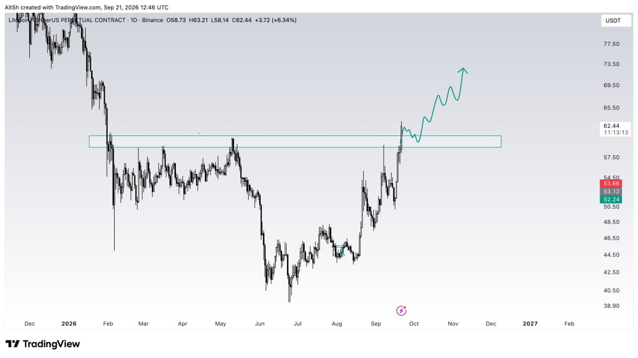 LTCUSDT LONG signal screenshot by Wolf of Trading®